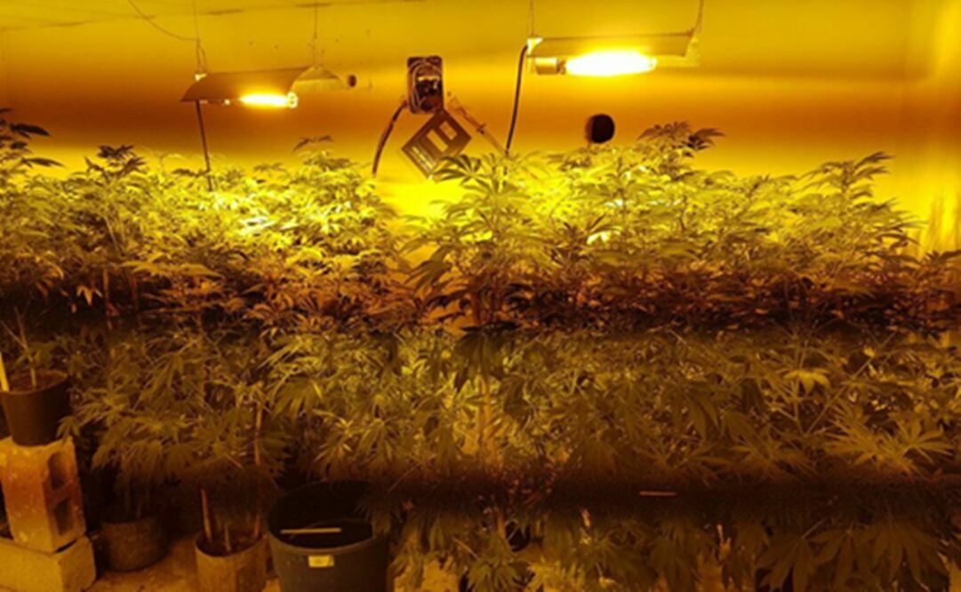 FOTO: Archivo. EL UNIVERSAL