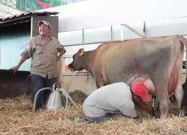 México, con derechos de nombres de quesos de UE