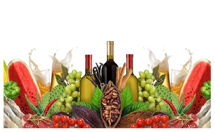 La gastronomía mexicana reunida en un solo lugar: Comali