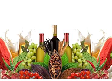 La gastronomía mexicana reunida en un solo lugar: Comali