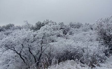 Alertan por clima gélido, caída de nieve y lluvia engelante