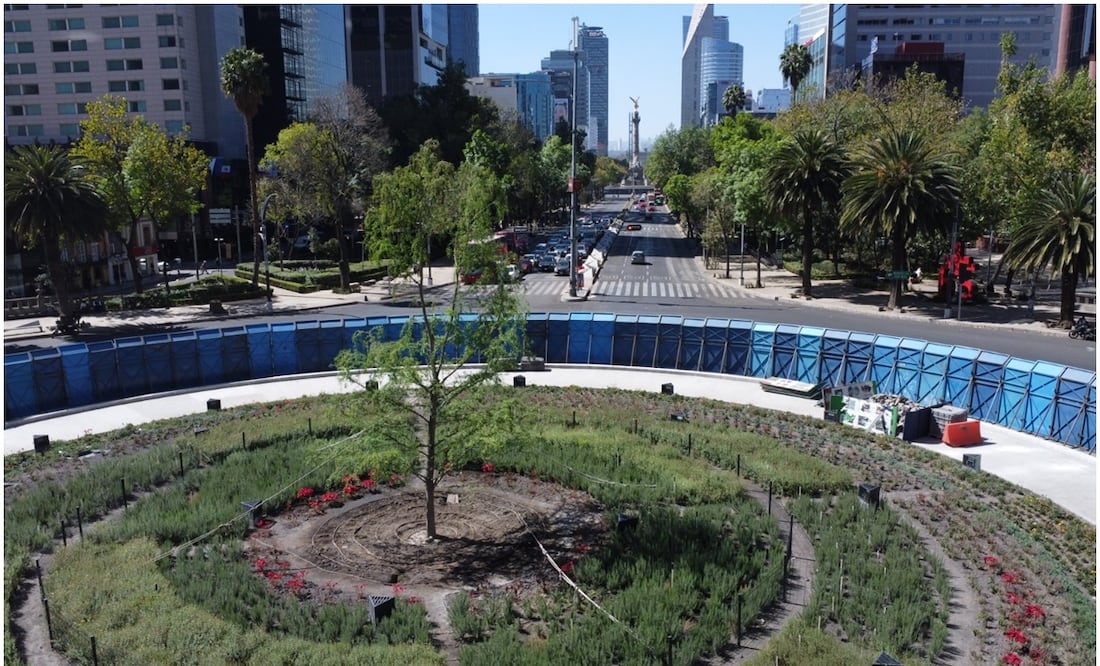 FOTOS; ¡Sobrevivió al ataque con cemento!, Así se ve el segundo ...