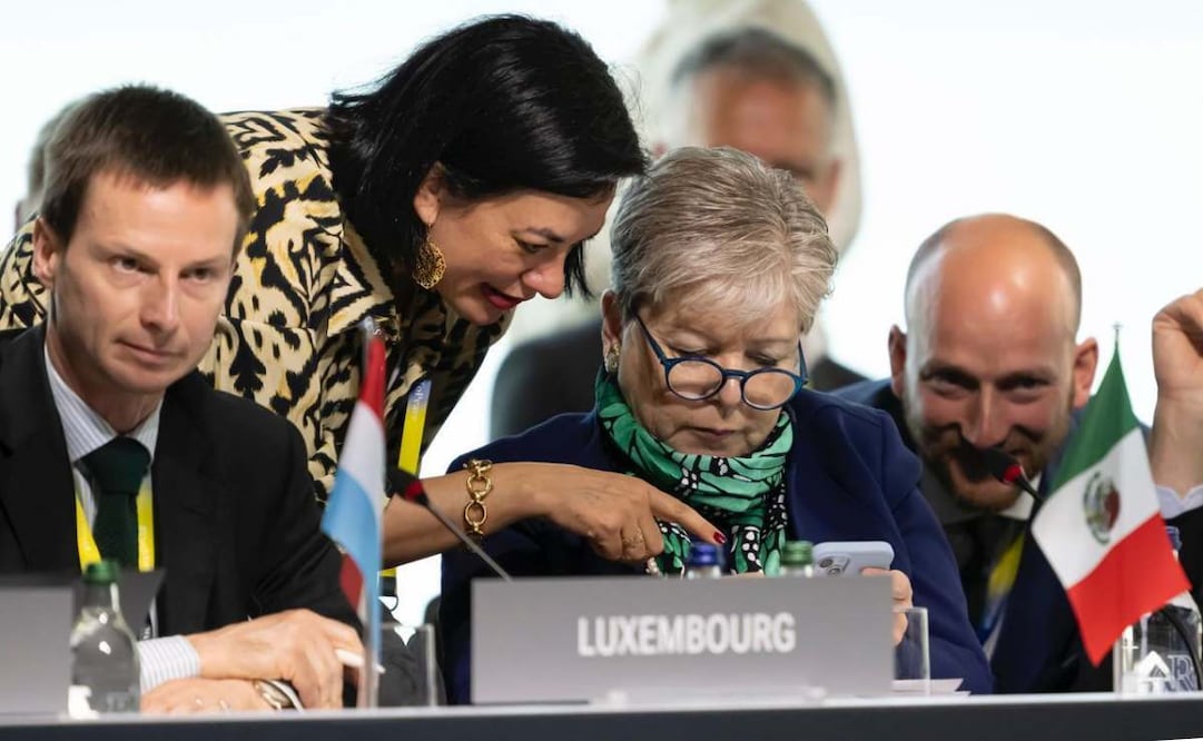 Alicia Bárcena. Foto: SRE