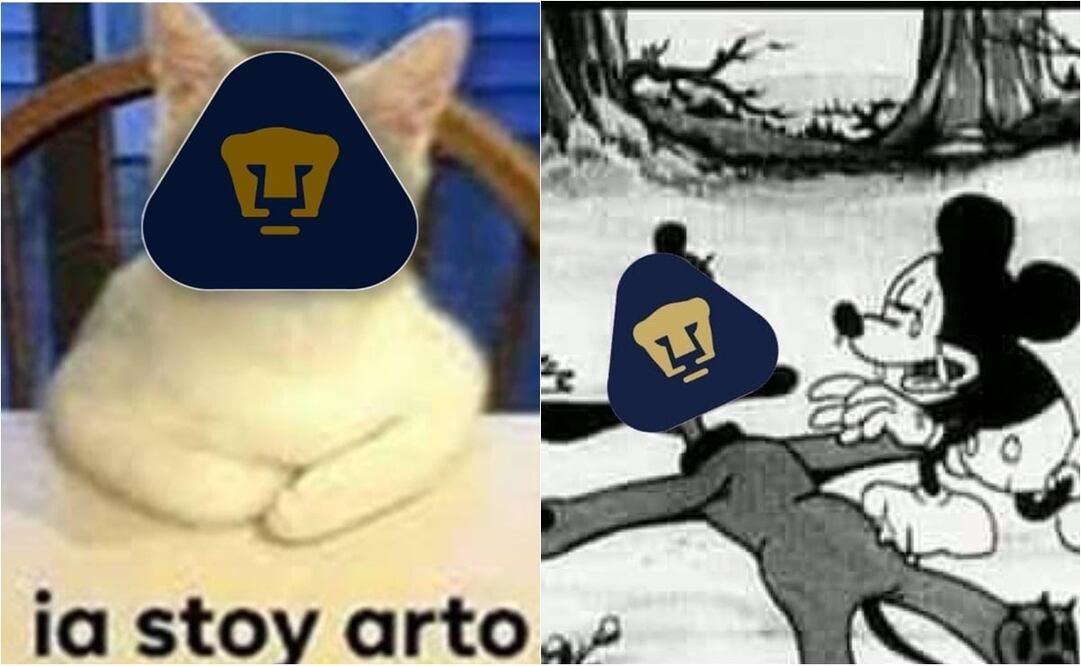 Memes humillan a Pumas tras la derrota ante Puebla que los dejó sin repechaje / FOTO: ESPECIAL