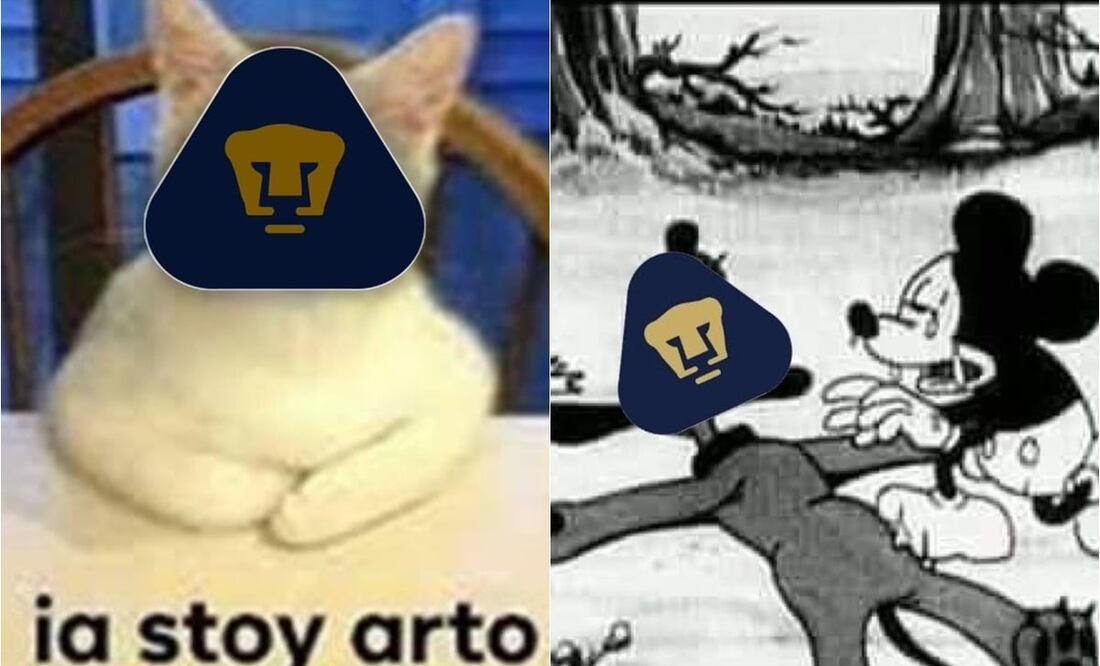 Memes humillan a Pumas tras la derrota ante Puebla que los dejó sin repechaje / FOTO: ESPECIAL