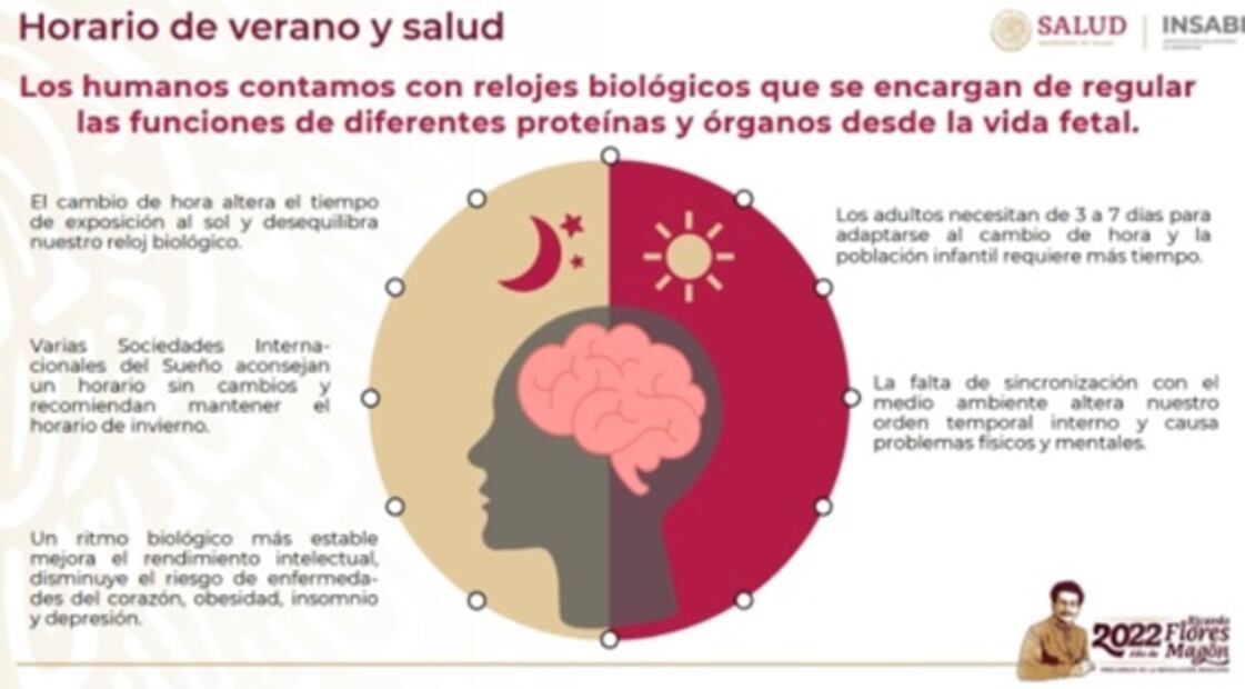 ¿Qué son los ritmos circadianos y su relación con el horario de verano?