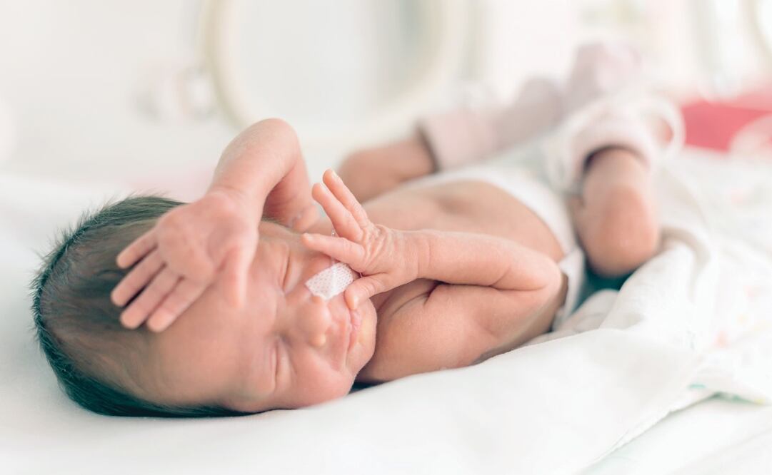 El primer Día Mundial del Niño Prematuro se conmemoró el 17 de noviembre de 2008 - Foto: Foto de archivo