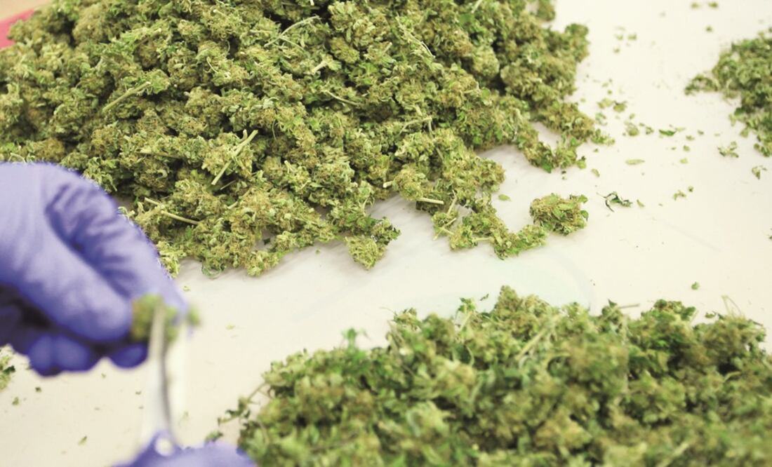 Foto: Archivo / EL UNIVERSAL