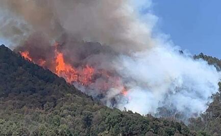 Incendio en Huixquilucan consume 6 hectáreas de bosque y pastizales