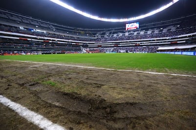 Las diferencias entre el césped híbrido y natural 