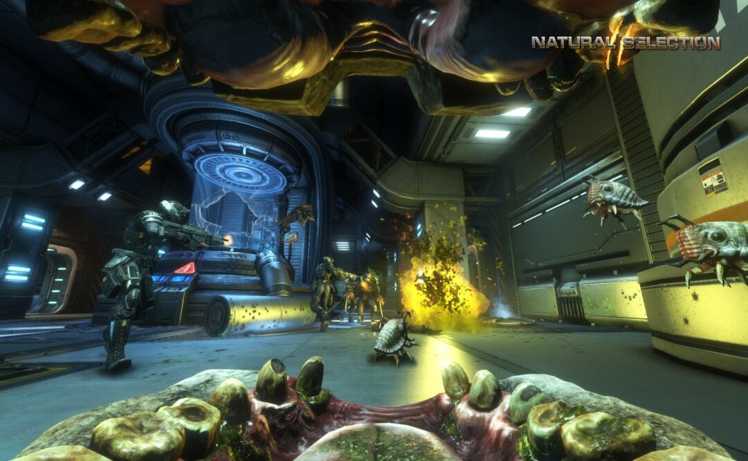 Natural Selection 2 está disponible en esta plataforma. 