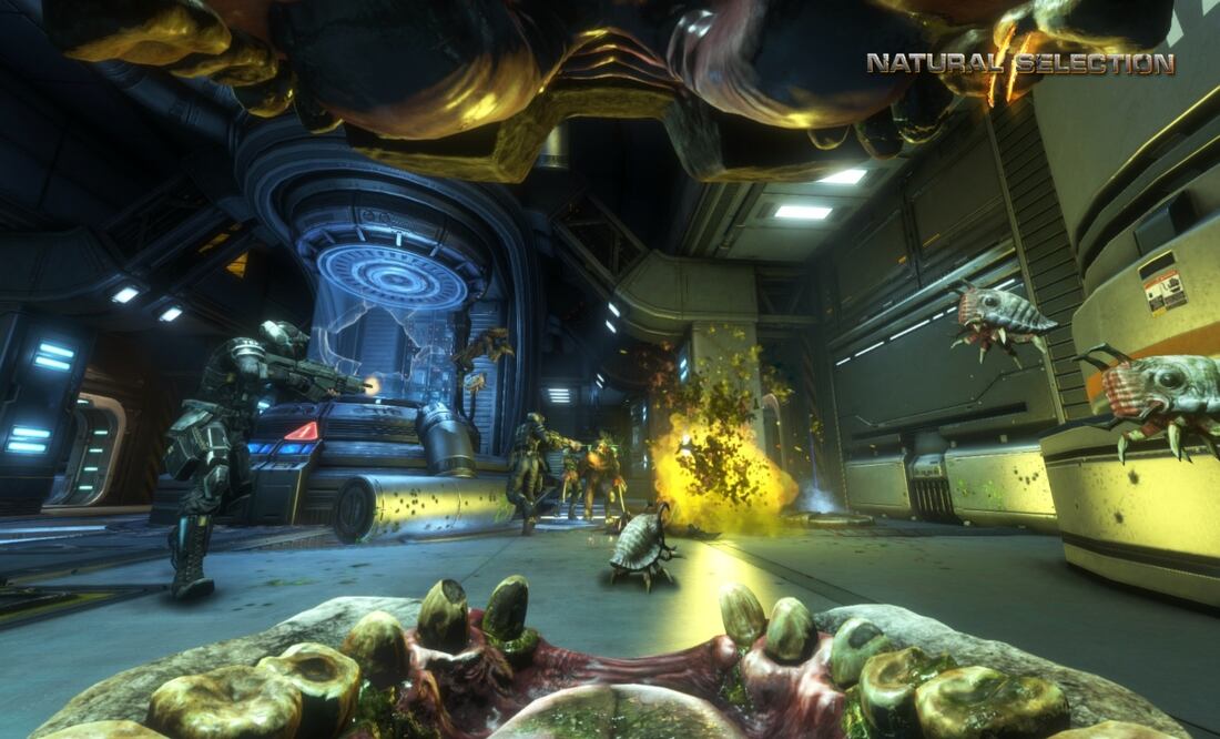 Natural Selection 2 está disponible en esta plataforma.