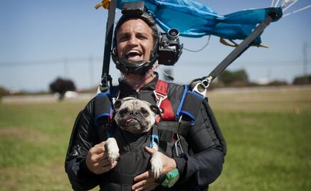 Los perros reflejan el estrés de sus dueños