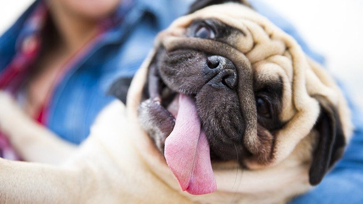 Foto: Getty Image vía BBC 