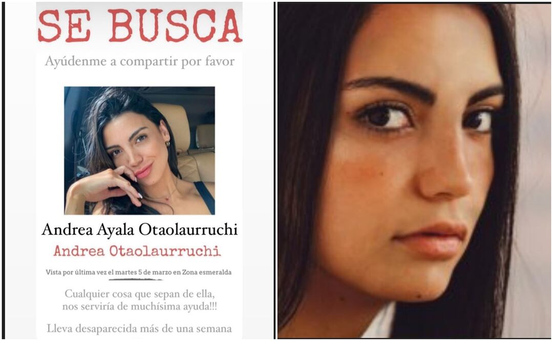 buscan a Andrea Otaolaurruchi no se ha localizado desde el 5 de marzo.
Foto: Captura de pantalla y X