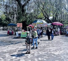 Regresan menos ambulantes a la Alameda