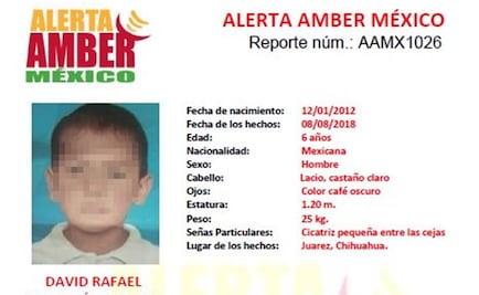 Hallan cuerpo de niño en Chihuahua; diputada dice que es David Rafael