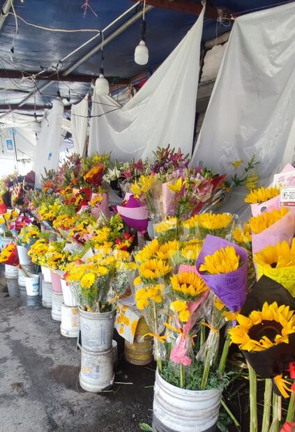 Flores Amarillas. Foto: Adriana Estrada/EL UNIVERSAL