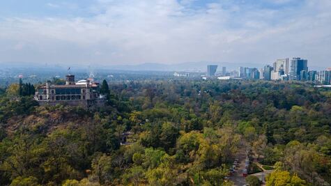 Chapultepec, rumbo a ser el primer bosque sin plásticos de un solo uso; Sedema va por un espacio libre de chatarra