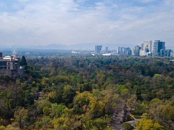 Canaco CDMX rechaza cambio de uso de suelo a habitacional en predio de Bosque de Chapultepec