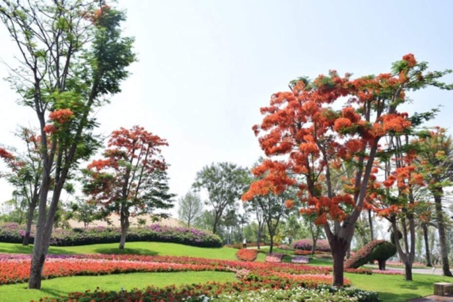 12 cosas padres que hacer en Morelos en un futuro