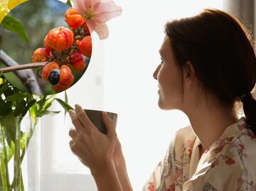 El té con hierba amazónica que reduce la grasa, elimina la retención de líquidos y mejora la agilidad mental