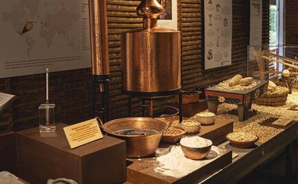 Cinco destilados de maíz que debes conocer