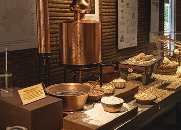 Cinco destilados de maíz que debes conocer