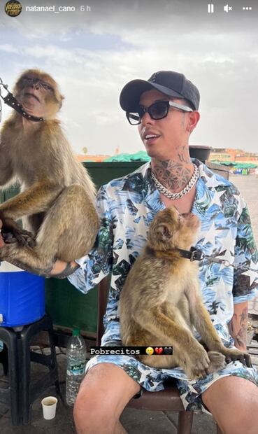 Natanael Cano expone maltrato animal en Marruecos