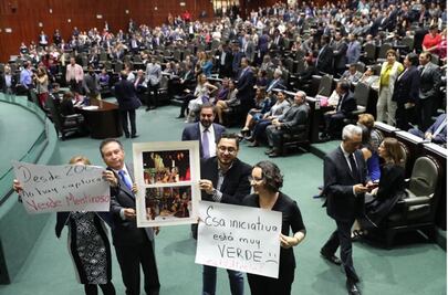 ¿Por qué naufraga iniciativa contra delfinarios en San Lázaro?