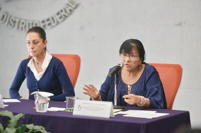 Garantizaré los derechos de la Constitución: jefa electa