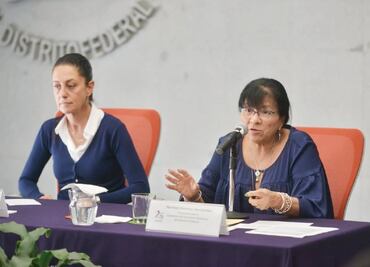 Garantizaré los derechos de la Constitución: jefa electa