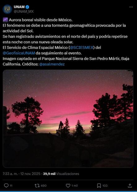 Foto: Captura de pantalla en X