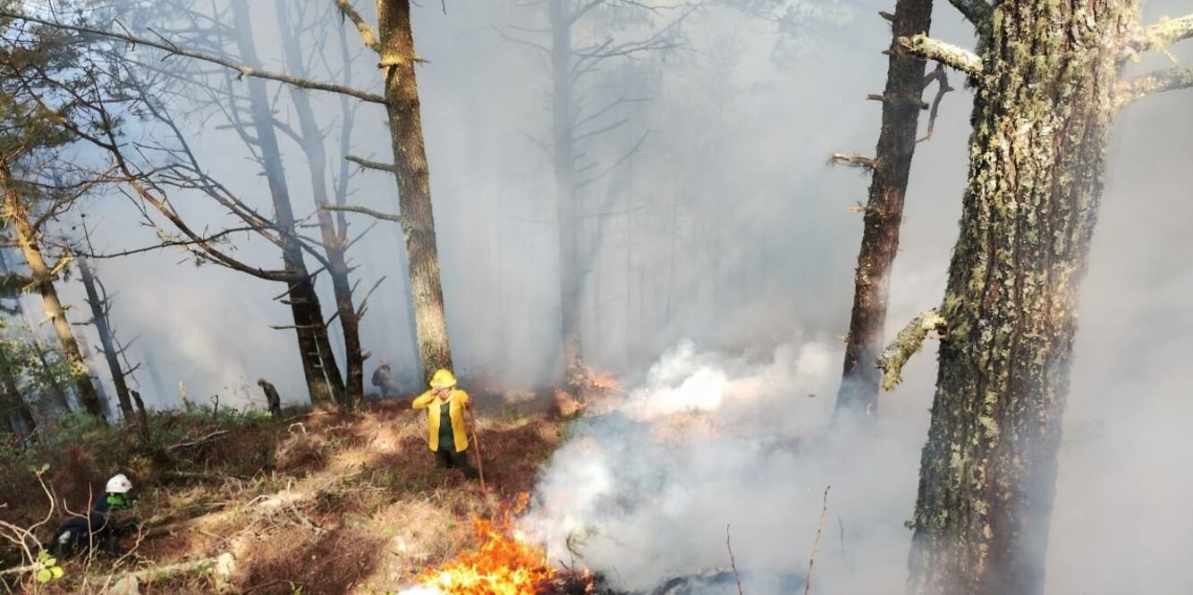 Según el reporte oficial, en los últimos cuatro municipios mencionados, los incendios se encuentran activos con un porcentaje de control entre 85 y 95%. Foto: Especial/El Universal