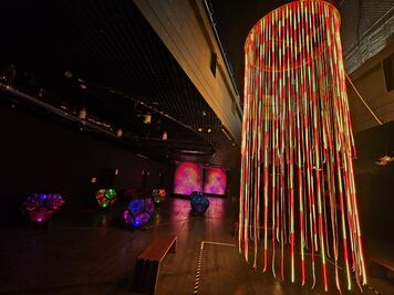 Así es la exposición inmersiva Jardín Onírico en la Estela de Luz