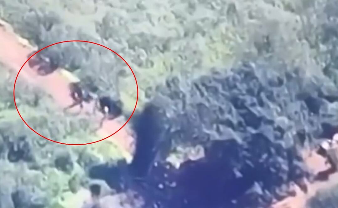 Los reportes señalan que los grupos armados ingresan por el estado de Colima, entidad que colinda con esta región de Michoacán. Foto: captura de pantalla