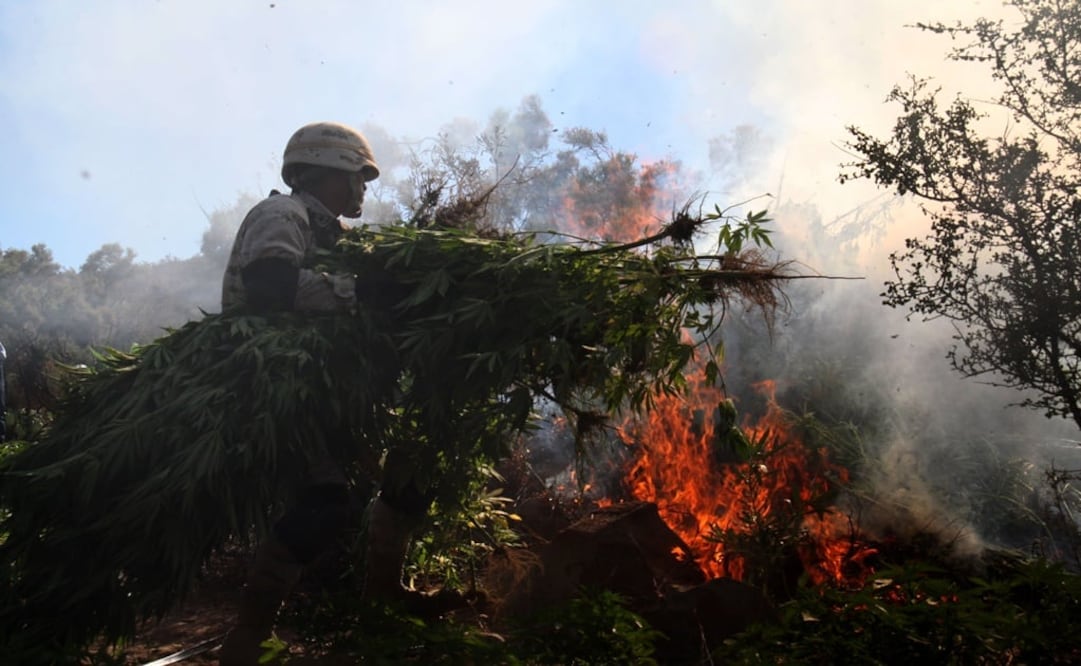 Foto: Archivo/ EL UNIVERSAL                                   
