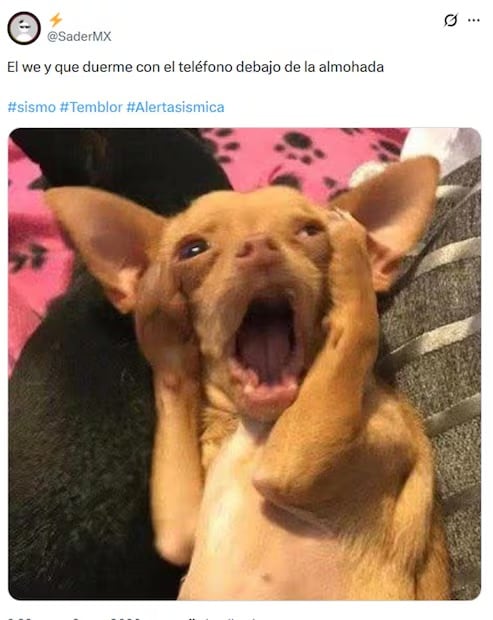 Sismo CDMX. Foto: Captura de pantalla X