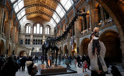 Museo británico dice adiós al dinosaurio "Dippy"
