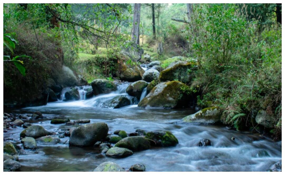 Conoce el último río que continua vivo en la CDMX. Imagen: Twitter Secretaria de Turismo de la CDMX