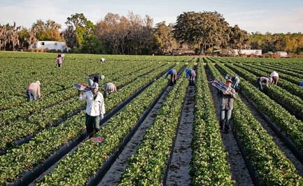 “No tenemos miedo a nada… pero nos preocupa la migra”