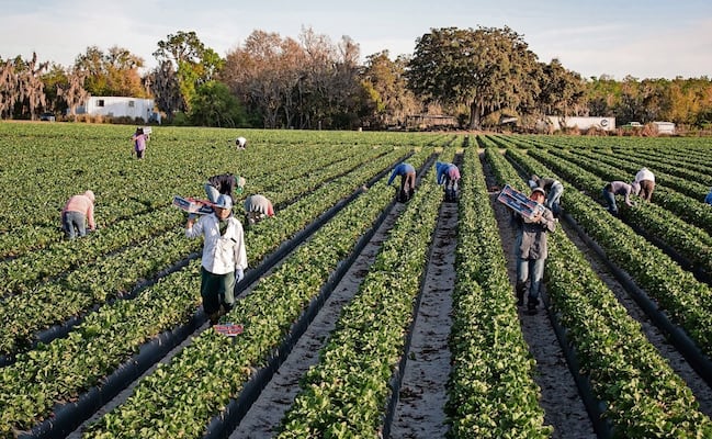 EU emite alerta para que instituciones financieras denuncien a trabajadores migrantes indocumentados; pide informe de actividad sospechosa