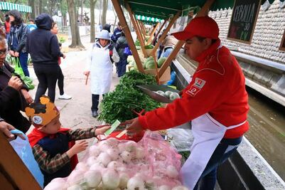 Realizarán Mercado de Trueque en Bosque de Chapultepec este domingo