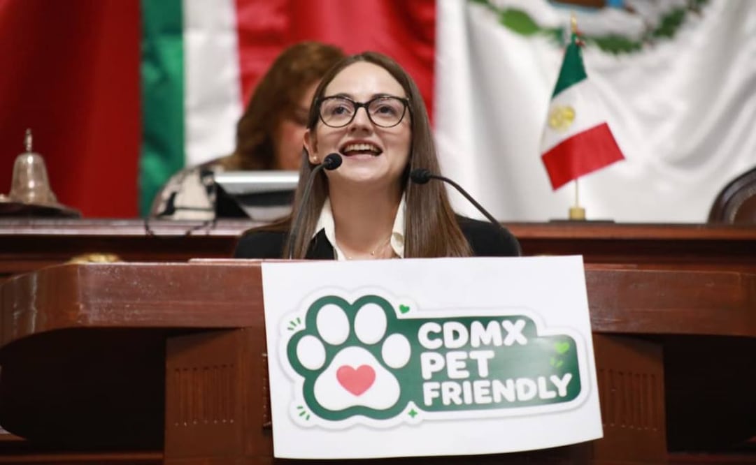 La diputada del PRI, Tania Larios. Foto: Especial