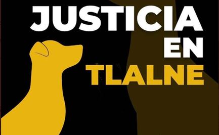 Exigen justicia por perro que murió a golpes en Tlalnepantla; llaman a marcha