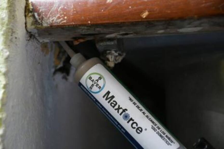 Alertan en varias entidades por consecuencias de las plagas urbanas