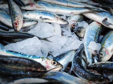 Estas son las 8 marcas de sardinas que incumplen contenido y normas, según Profeco