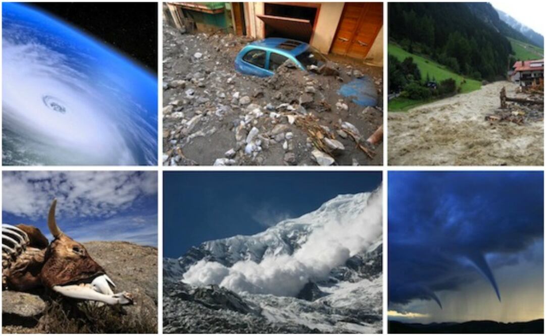 Aprende cómo actuar en este tipo de eventos con estos cursos online