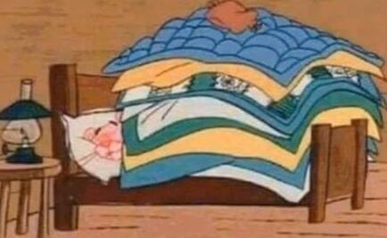 Un noviembre helado, el Flow Fest y la locura por el Black Friday, en los memes de la semana