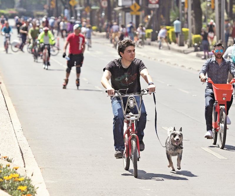 En las calles de la capital se mostró poca preocupación por el Covid-19: la gente anduvo en bici, hizo ejercicio e incluso patinó, como usualmente, en el Paseo de la Reforma o Chapultepec. CARLOS MEJÍA. EL UNIVERSAL 